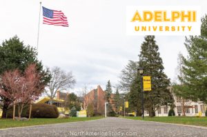 adelphi003