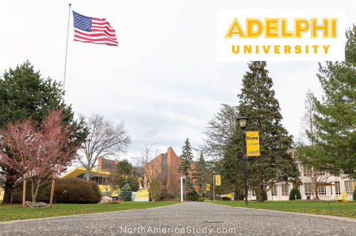 adelphi003